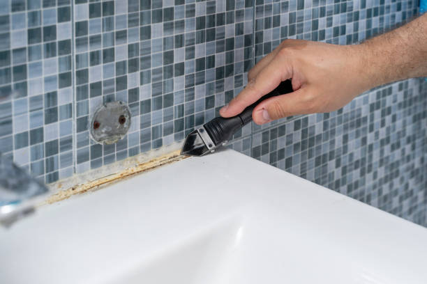Best Residential Mold Remediation in Mount Carroll, IL