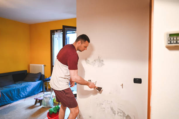 Best Post-Remediation Services in Mount Carroll, IL